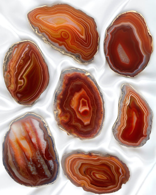 six agates terrestres orange rouge sanguines sur fond satin blanc gemmes prodigieuses boucle dor paris