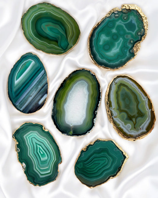 La Solitaire végétale